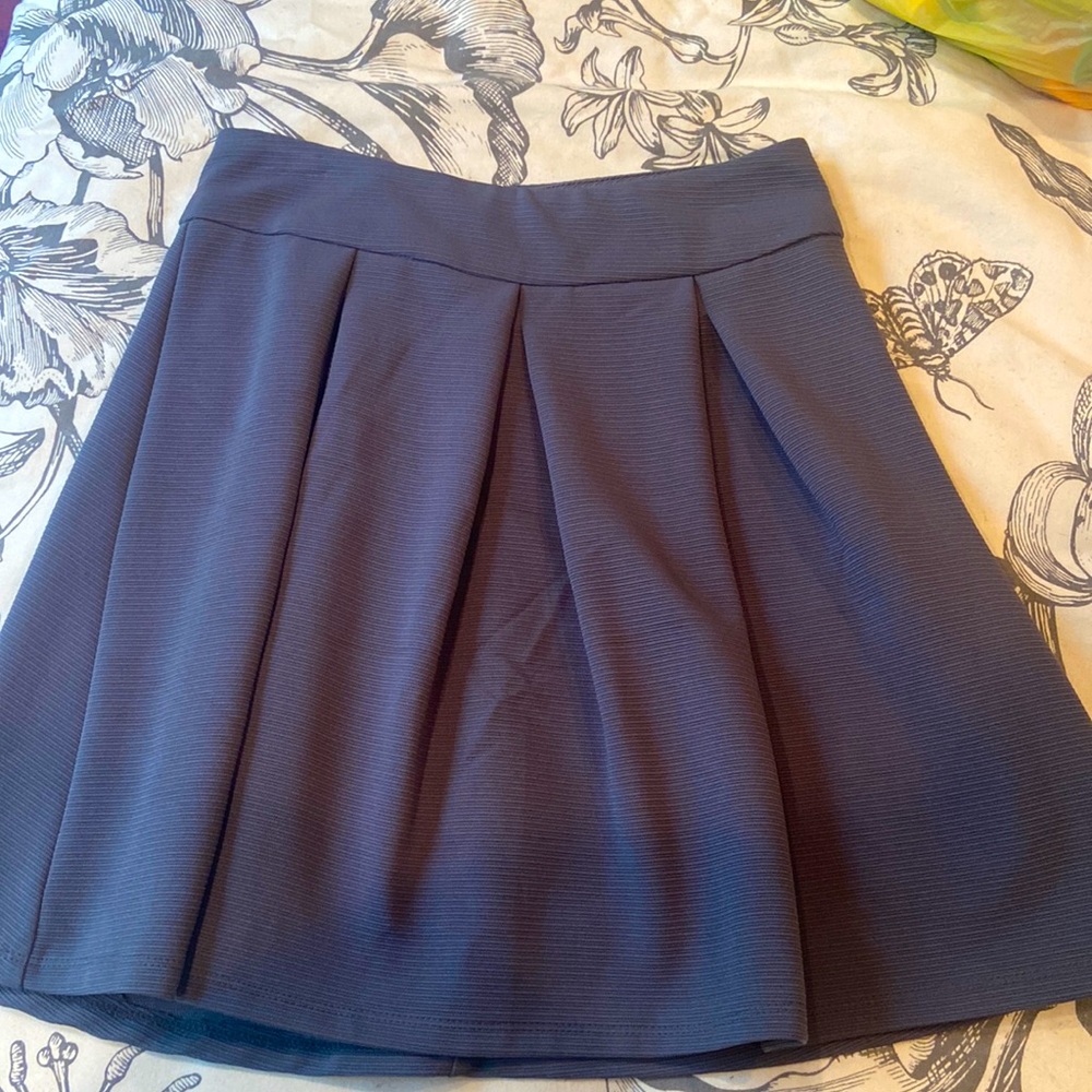 Gray pleated skater skirt. Size 2. The limited. Excellent condition.